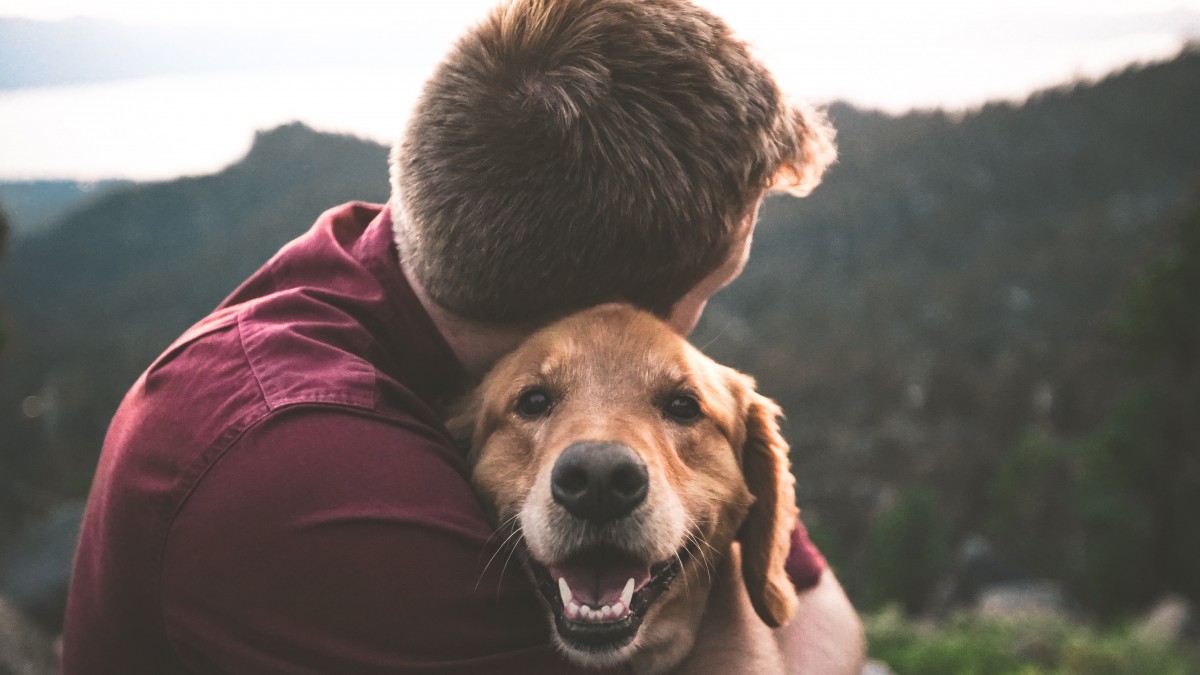 Waarom maken huisdieren gelukkig?