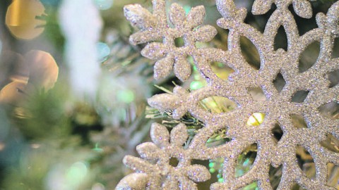 Christmas Gardens wordt jouw webshop voor kerstartikelen!