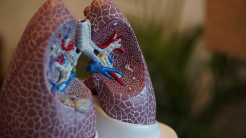 Nieuw lichaamsdeel gevonden in de longen