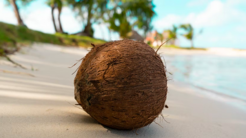 7 op wetenschap gebaseerde gezondheidsvoordelen van kokoswater