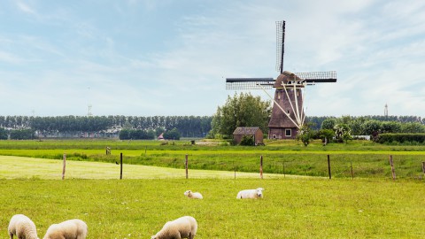 “Noord-Holland heeft een culturele rijkdom die we mogen koesteren”